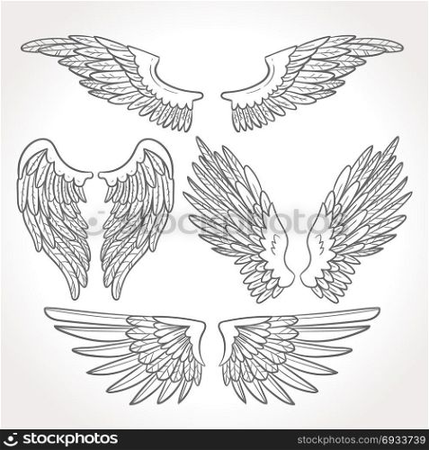wing art vector