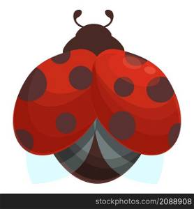 Wing ladybird icon cartoon vector. Ladubug beetle. Bug insect. Wing ladybird icon cartoon vector. Ladubug beetle