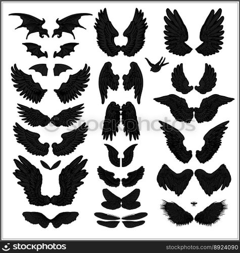 Wing vector image
