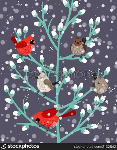 Winter birds branch. Beauty mistletoe red cardinal and sparrow birdes holly xmas wallpaper, snow wildlife forest vector illustration, snowy holiday wintergift wallpapers drawing color scene. Winter birds branch. Beauty mistletoe red cardinal and sparrow birdes holly xmas wallpaper, snow wildlife forest vector illustration, snowy holiday wintergift wallpapers drawing scene