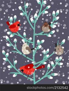 Winter birds branch. Beauty mistletoe red cardinal and sparrow birdes holly xmas wallpaper, snow wildlife forest vector illustration, snowy holiday wintergift wallpapers drawing color scene. Winter birds branch. Beauty mistletoe red cardinal and sparrow birdes holly xmas wallpaper, snow wildlife forest vector illustration, snowy holiday wintergift wallpapers drawing scene