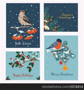 Winter birds cards. Christmas snowy banners with cute little flying animals on branches. Whistler and bullfinch. Rowan and spruce trees. Holiday congratulations posters. Vector Xmas postcards set. Winter birds cards. Christmas snowy banners with cute flying animals on branches. Whistler and bullfinch. Rowan and spruce trees. Holiday congratulations posters. Vector postcards set