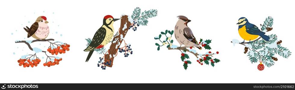 Winter birds on branches. Cute little birds on different trees sprigs, tit and woodpecker, sparrow and bullfinch sit on barely and rowan trees, christmas vibes, feathered creatures vector isolated set. Winter birds on branches. Cute little birds on different trees sprigs, tit and woodpecker, sparrow and bullfinch sit on barely and rowan trees, christmas vibes, feathered creatures vector set