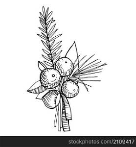 Winter bouquet. Vector sketch illustration.. Winter bouquet.