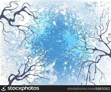 Winter branches, covered with hoarfrost on a background of blue winter sky.