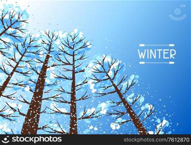 Winter forest background with stylized trees. Seasonal illustration.. Winter forest background with stylized trees.