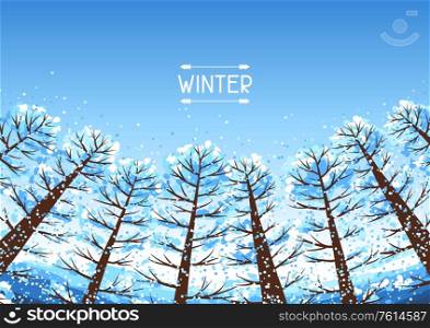Winter forest background with stylized trees. Seasonal illustration.. Winter forest background with stylized trees.