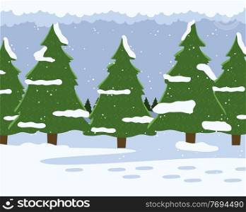 Winter forest with fir-trees, snow-covered spruces, cold snowy weather with falling snowflakes, gloomy, overcast cloudy day, nobody around, wild nature, winter landscape view or background, december. Winter forest with fir-trees, snow-covered spruces, cold snowy weather with falling snowflakes