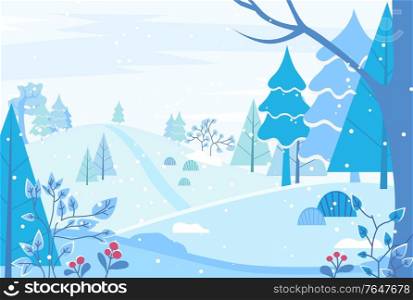 Winter landscape in forest. Wintertime in nature woods with spruce, pine trees and bushes with berries. Snowy grounds and branches covered with snow. Winter scenery with foliage vector in flat. Winter Landscape with Pine Trees and Snowfall