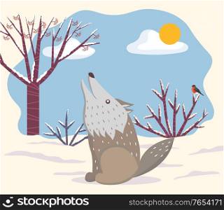 Winter landscape with animal grey wolf howling in forest with trees and bushes. Bullfinch bird and wildlife in park. Scenery in wintertime, furry mammal, predator creature outside. Vector in flat. Howling Wolf in Winter Landscape Forest Vector