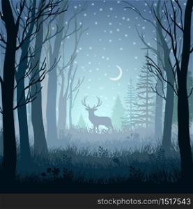 Winter landscape with deer in the forest at night background.Vector illustration