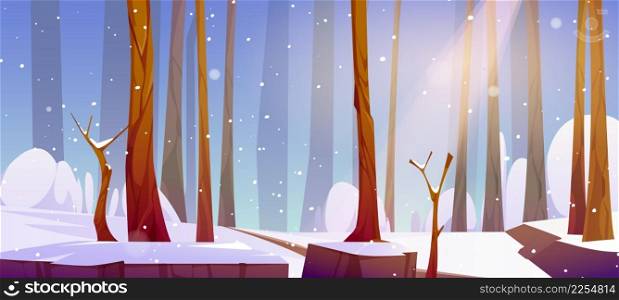 Winter landscape with white snow, tree trunks and path in daylight. Vector cartoon illustration of natural park, garden or forest with bare trees, snowfall and sunshine. Winter landscape of forest with snow