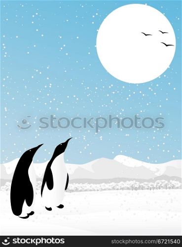 Winter scene with two penguins watching flying birds.