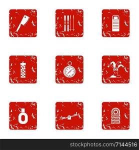 Winter show icons set. Grunge set of 9 winter show vector icons for web isolated on white background. Winter show icons set, grunge style