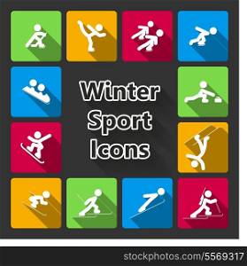 Winter sports icons set isolated vector illustration