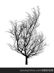 Winter tree silhouette. Isolated hand drawn vector design element over white background.