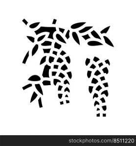 wisteria liana glyph icon vector. wisteria liana sign. isolated symbol illustration. wisteria liana glyph icon vector illustration