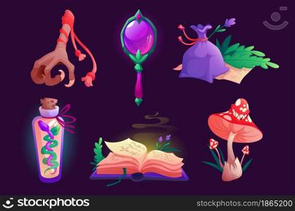 Witch items magic mirror, spell book, bird foot and sack with dry herbs, fly agaric mushroom, bottle with snake. Assets elements for game, isolated wizard stuff, Cartoon vector illustration, icons set. Witch items magic mirror, spell book, bird foot