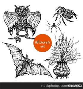 Witchcraft doodle set with hand drawn owl spider and pot isolated vector illustration. Witchcraft Doodle Set