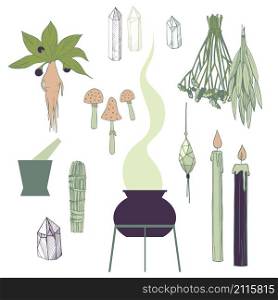 Witchcraft things set. Herbs, crystals, candles, mushrooms.Vector illustration.. Witchcraft things set. Vector illustration.