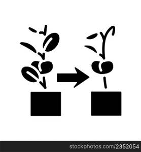 Withered plant black glyph icon. Fading and wilting flowers and houseplants. Indoor gardening hobby. Silhouette symbol on white space. Solid pictogram. Vector isolated illustration. Withered plant black glyph icon