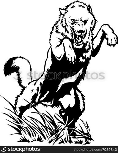 Wolf