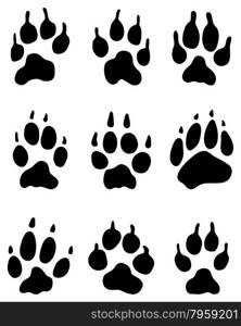 wolf paw