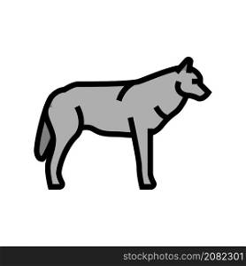 wolf wild animal color icon vector. wolf wild animal sign. isolated symbol illustration. wolf wild animal color icon vector illustration