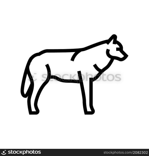 wolf wild animal line icon vector. wolf wild animal sign. isolated contour symbol black illustration. wolf wild animal line icon vector illustration