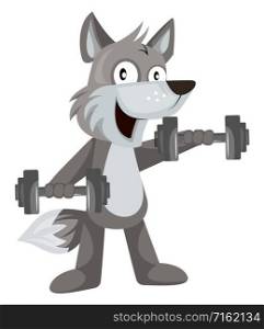 Wolf with weights, illustration, vector on white background.