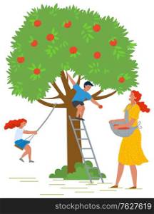 Woman adding fruit in apron, boy on stairs picking apples from green tree. Girl on handmade swing, people gardening, orchard element, countryside vector. Picking apples concept. Flat cartoon. People Picking Apples, Ripe Food on Tree Vector