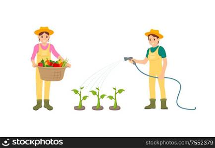 Woman and watering hose isolated icons set. Basket with carrots lettuce, peppers harvested vegetables. Growing plants and veggies on plantation vector. Woman and Watering Hose Vector Illustration