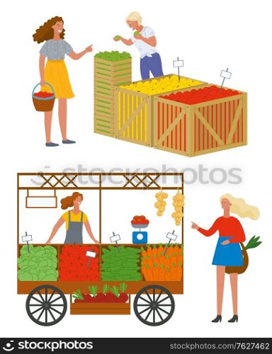 Woman buying food at market vector, isolated set of sellers and clients. Organic food and fruits. Cucumbers and carrots, tomatoes and vegetables in boxes. Pick apples concept. Flat cartoon. Woman at Market Buying Fresh Ripe Apples Vector
