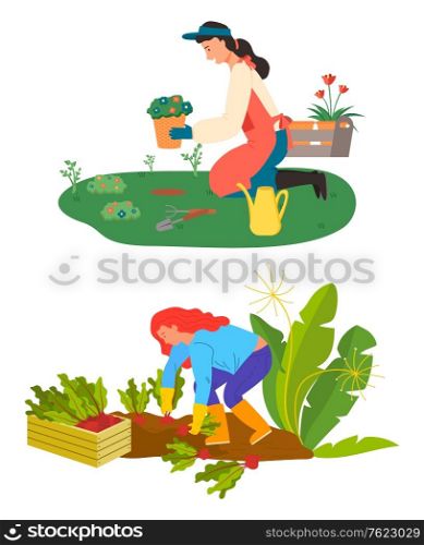 Woman caring for flowers vector, isolated people on plantation. Harvesting farmer with beetroots and container, lady with houseplants and watering can. Farming and Gardening Hobby, Flowers and Beetroot