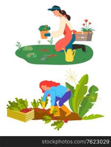 Woman caring for flowers vector, isolated people on plantation. Harvesting farmer with beetroots and container, lady with houseplants and watering can. Farming and Gardening Hobby, Flowers and Beetroot