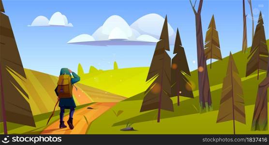 Woman hiker with stick and backpack walks on road from forest to green hills. Vector cartoon illustration of summer landscape with pines, fields and girl tourist. Woman hiker travels on green hills