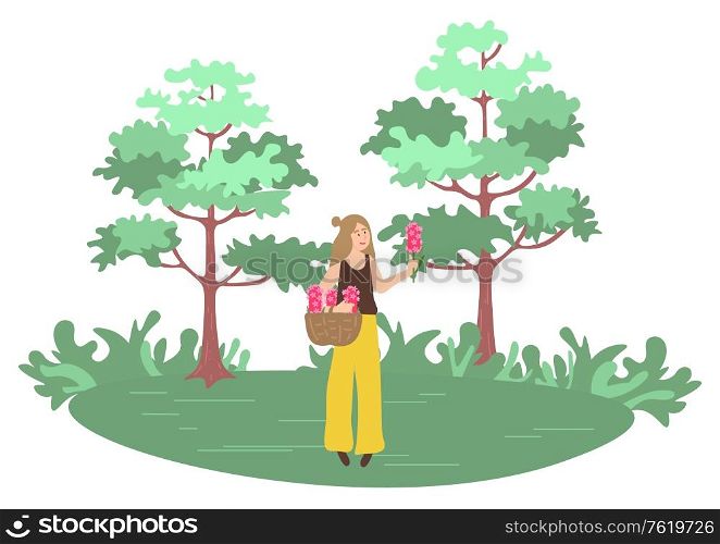 Woman picking up flowers in forest with green trees. Vector female character outdoors with basket full of summer and spring blossoms, person in park. Woman Picking Flowers. Forest with Trees. Vector