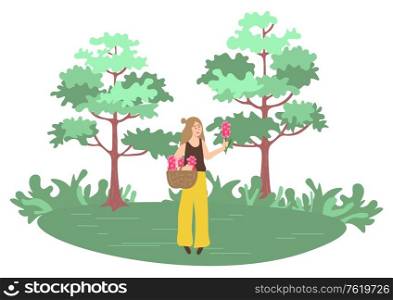Woman picking up flowers in forest with green trees. Vector female character outdoors with basket full of summer and spring blossoms, person in park. Woman Picking Flowers. Forest with Trees. Vector