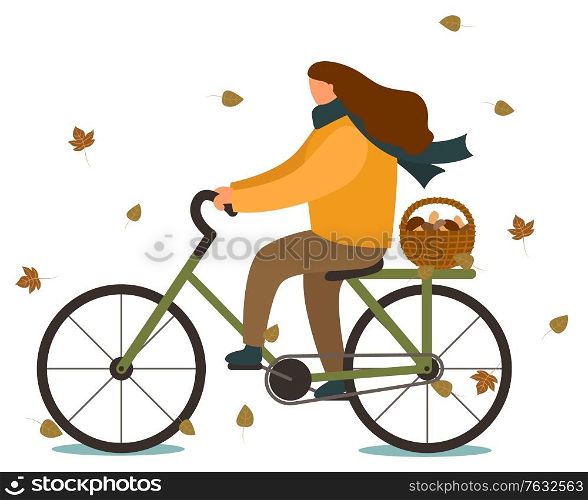 Woman riding bicycle in autumn vector. Lady going home after gathering mushrooms, boletus in wooden basket. Person in warm clothes cycling bike, cold weather. Fall mushrooming season illustration. Woman Riding Bicycle with Basket of Mushrooms