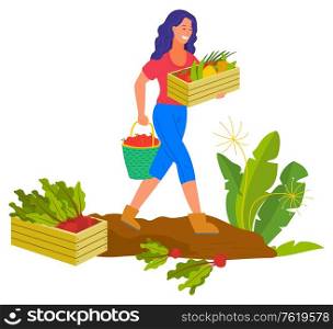 Woman smiling because of harvesting vector. Isolated farmer carrying wooden box with pepper and cucumber, beetroot in container. Character on farm. Farming Woman Smiling Harvesting Farmer Plantation