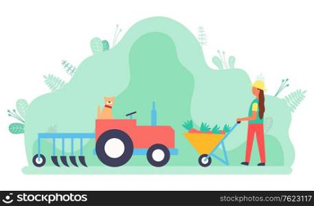 Woman working on field vector, lady with carriage and carrots. Tractor used in agriculture, rancher busy with agricultural job. Machinery for farm. Flat cartoon. Harvesting Woman with Carriage Filled with Carrots