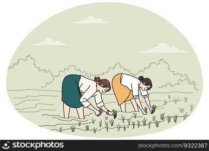 Women standing in water on plantation working on rice field. Female employees farming on organic farmland. Agriculture and manual labor. Vector illustration.. Women working on rice fields