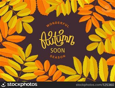Wonderful Autumn Season. Retro floral poster with beautiful rowan branches. Seasonal template frame for design.  Handwritten lettering label. Vector illustration. Floral Autumn poster