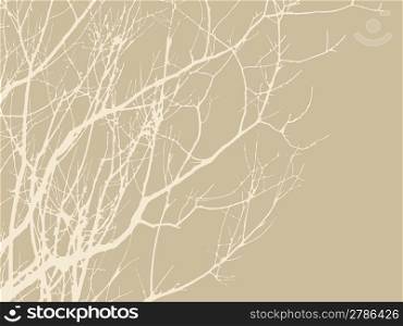 wood branches on brown background, vector illustration