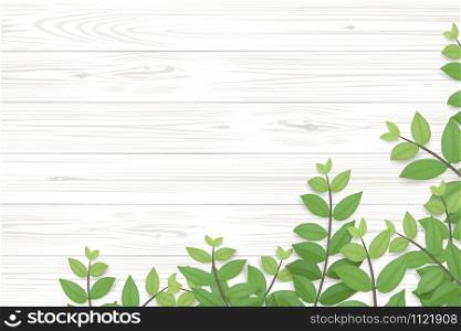 Wood plank pattern and texture with green leaves for natural background. Abstract background for product presentation. Realistic vector illustration.