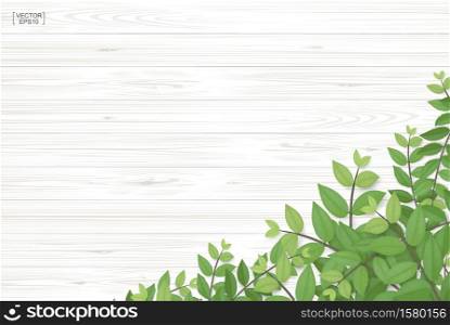 Wood texture background with green leaves. Realistic vector illustration.