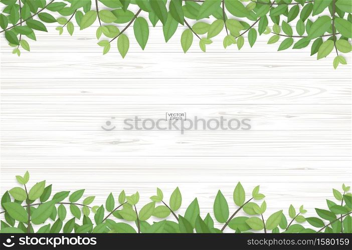 Wood texture background with green leaves. Realistic vector illustration.