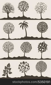 Wood tree2. Silhouettes of trees on a white background. A vector illustration