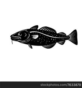 Woodcut style illustration of an Atlantic cod Gadus morhua, a benthopelagic fish of the family Gadidae commercially known as cod or codling viewed from side isolated background in black and white.. Atlantic Cod Gadus Morhua or Codling Side Woodcut Retro Black and White