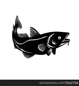 Woodcut style illustration of an Atlantic cod Gadus morhua, a benthopelagic fish of the family Gadidae commercially known as cod or codling swimming up on isolated background in black and white.. Atlantic Cod or Codling Fish Swimming Up Woodcut Black and White